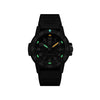 Luminox Sea Turtle Watch - XS.0301.L